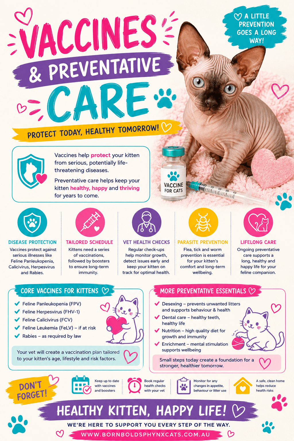 Vaccinations and veterinary and routine care at Born Bold Cats