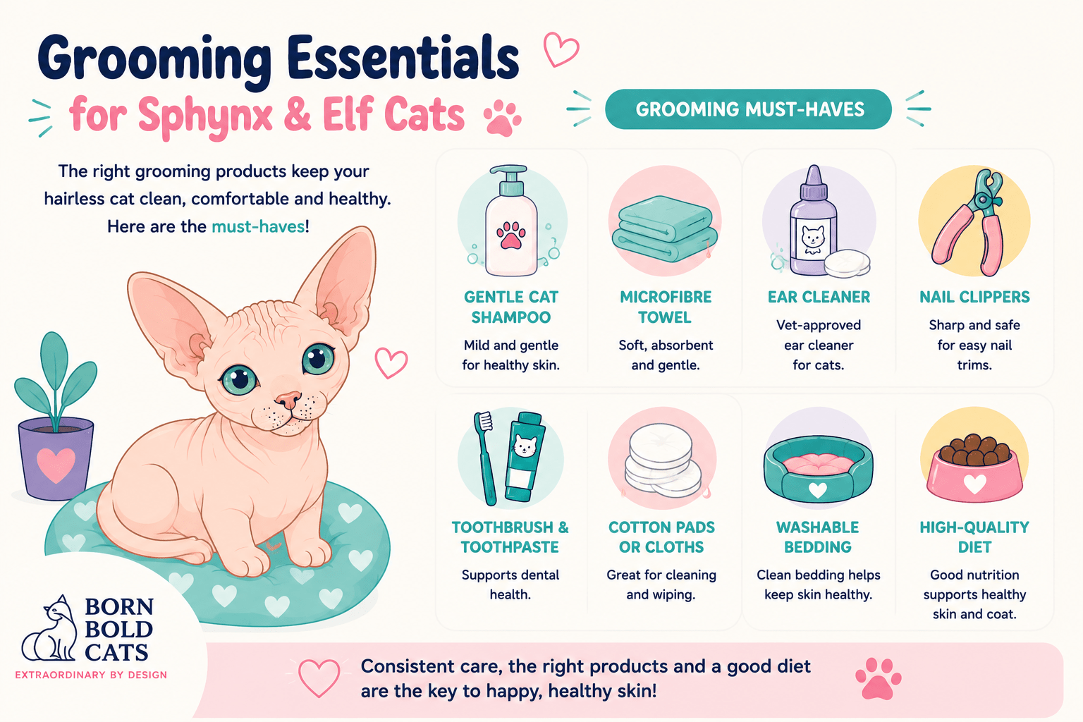 Recommended products for grooming at Born Bold Cats