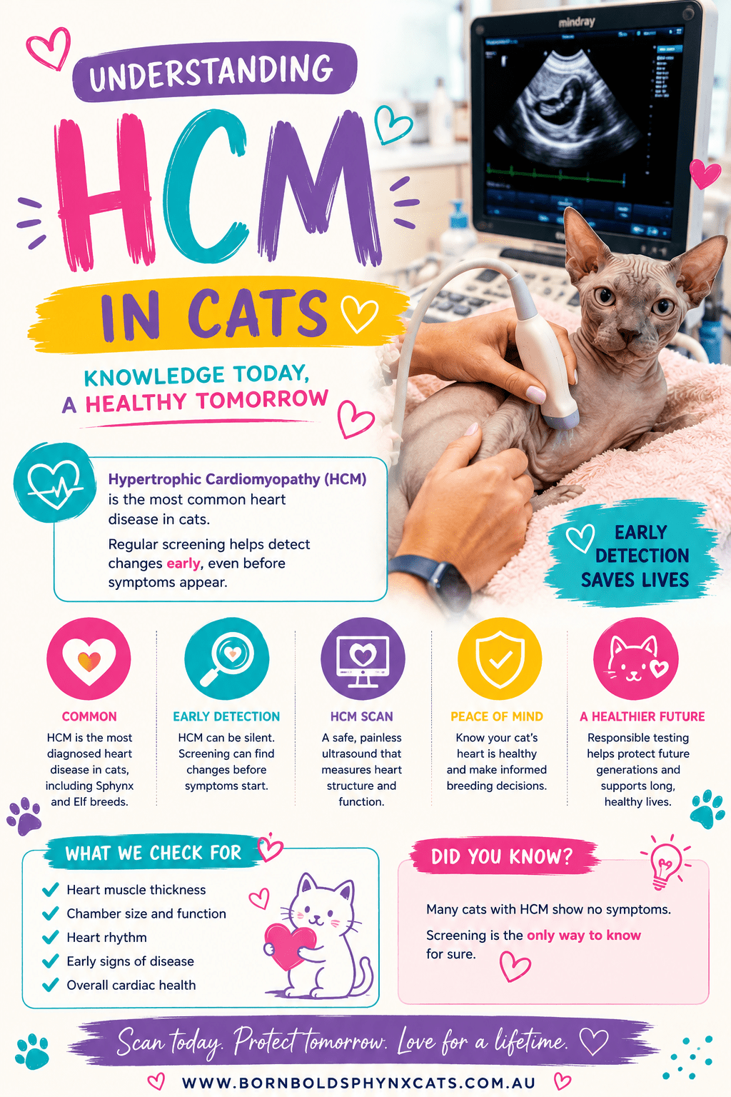 HCM scanning at Born Bold Cats